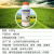 甲维塩+入力助剤抗性フルリア青虫ドリル食心虫二三化ニカメイアイス农薬杀虫剤