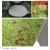 ウシンバラの赤いクモ専用薬バラの月季多肉花卉植物通用殺虫剤ダンニ剤10 ml