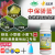 zhongbaoおごころ0.5%クレアカリ山菜の花卉クモシラミガ青虫アブラムシ緑バーン型殺虫剤有機野菜作物基地薬剤100 g