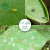 zhongbao斑点潜浄斑ハエの絵符潜叶花卉园山菜杀虫剤生物低毒性农薬8 g*30袋