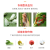 农薬シラミ専门用薬シラミアブラムシ小黒飞连菊ジン虫脒花果物野菜杀虫剤200 g