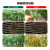 dafengshu殺虫剤0.5%アビ菌物アイゴ根結糸虫地下害虫农薬殺虫剤1000 g*1袋