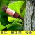 ググヤング防虫剤の树体杀虫剤を直接ボトルに挿入します。天牛幼虫の成虫剤の木の幹にあたる虫食のリキュム20 mlです。