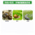 zhongyigounongziはカタツムリルのアルデヒ・ナフタレンの威の粉型福寿螺ナメクメクのナメクジ軟体虫农薬200 gを杀します。