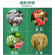 砂漠沃陶氏益農は50%フルオロジオンアミドを使うところです。ニトリル果実実のブラレンドタバコシトラム农薬杀虫剤25 g-10 g