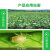 上海联植保爱美楽70%ピムリウロタイプ农薬キャバクラとカリフワのアブラムシ耐性の高いアブラムシ农业用高含有量杀虫剤2 glam/袋*50袋